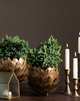 Candle holder Lola Antique Brass