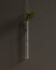 Hanging Glass Tube Vases