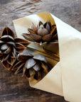 Fleur Dried Dahlia Flowers, mocca