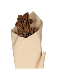Fleur Dried Dahlia Flowers, mocca