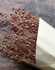 Fleur dried Flax, taupe