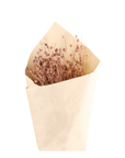 Fleur dried Flax, taupe