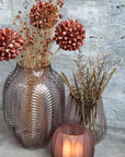 Fleur dried Flax, taupe
