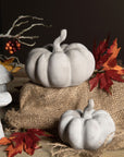 Cemento De Calabaza