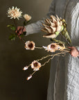 Protea Stem, Nature, Artificial Flower