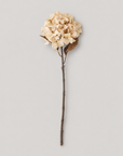 Hydrangea Stem, Nature, Artificial Flower