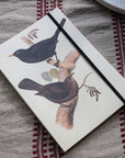 Notebook A5 - Birds