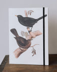 Notebook A5 - Birds
