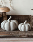 Cemento De Calabaza
