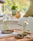 Candle tray