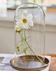 Candle tray