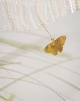 Butterfly w/wire brass