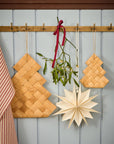 Star for hanging 14-sided
