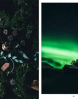 Nordic Winter Cookbook