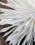 Arrecife De Estrellas De Papel De Arrecife