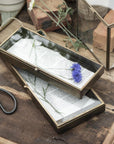 Glass box Nova - Small