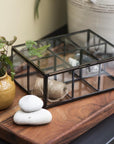 Glass box w/6 rooms