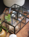 Glass box w/6 rooms