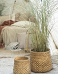 Bamboo Braid Basket
