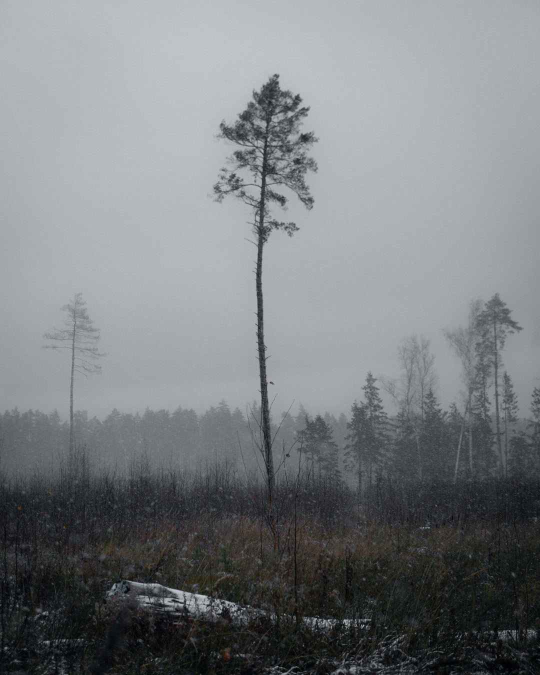 April 11th - The Art of Photography in the Nordic Countries