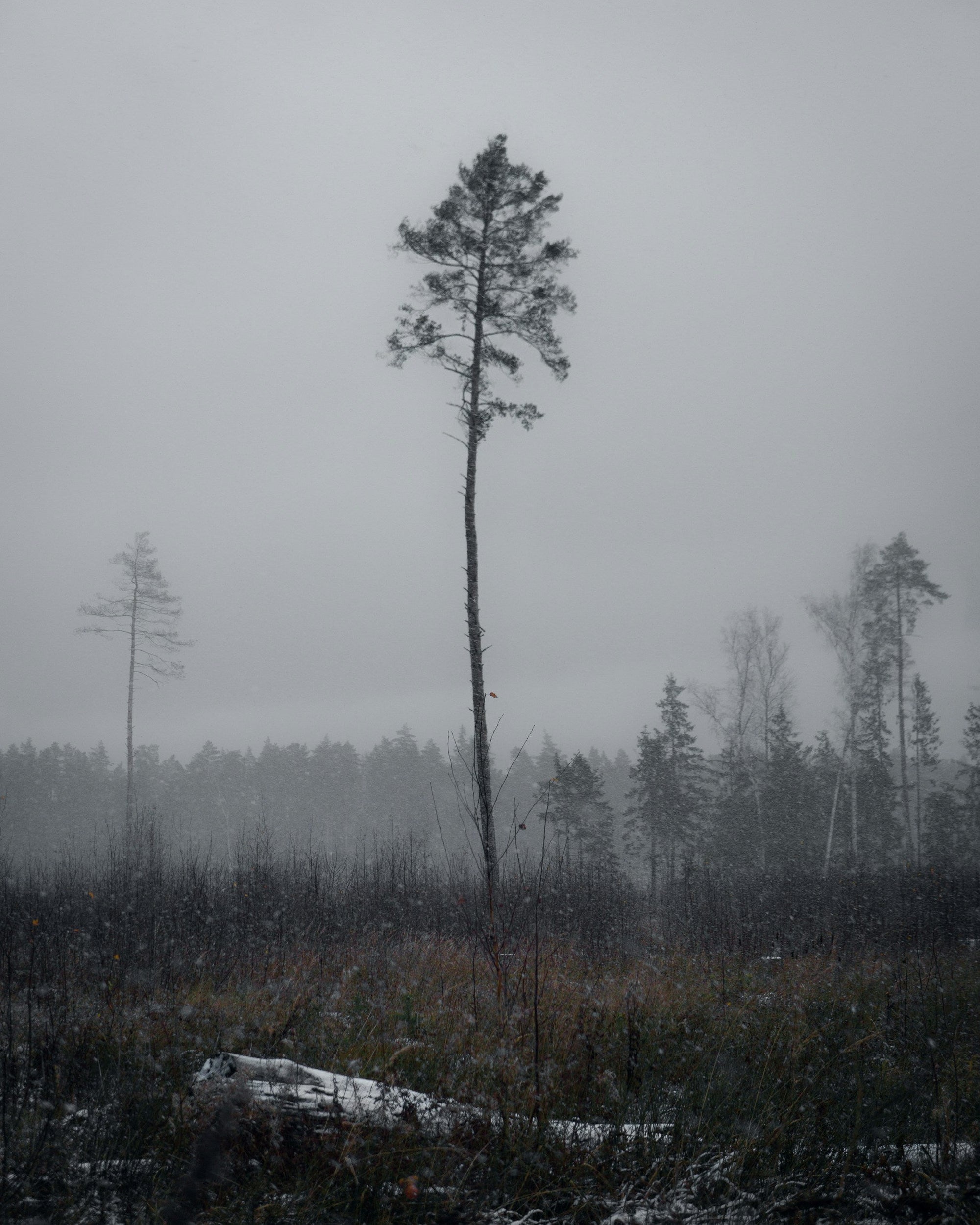 April 11th - The Art of Photography in the Nordic Countries