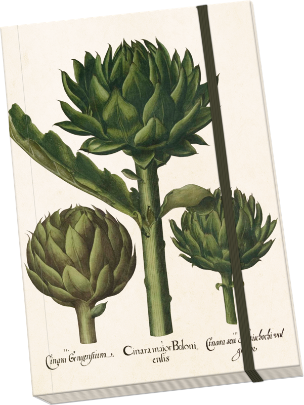 Notebook A5 - Artichoke