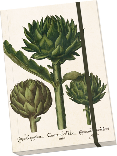 Notebook A5 - Artichoke