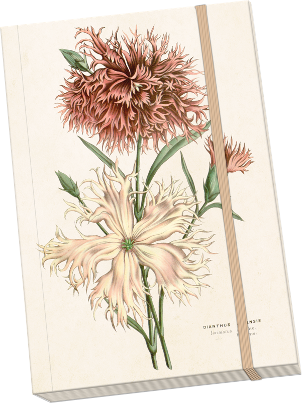 Notebook A5 - Carnations