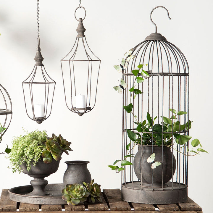 Cage Birdie Metal