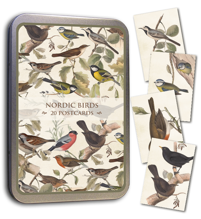 Postcards Set in Tin -  Nordic Birds - 10x15cm
