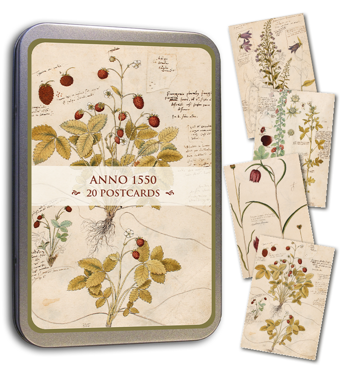 Postcards Set in Tin -  Anno 1550 - 10x15cm