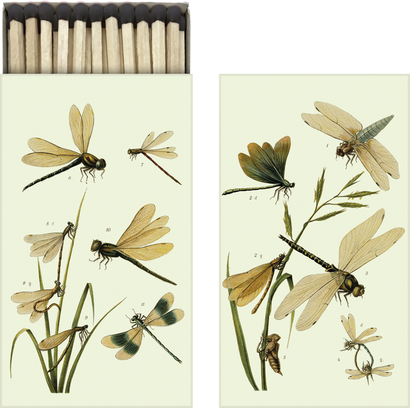 Matchbox - Dragonflies
