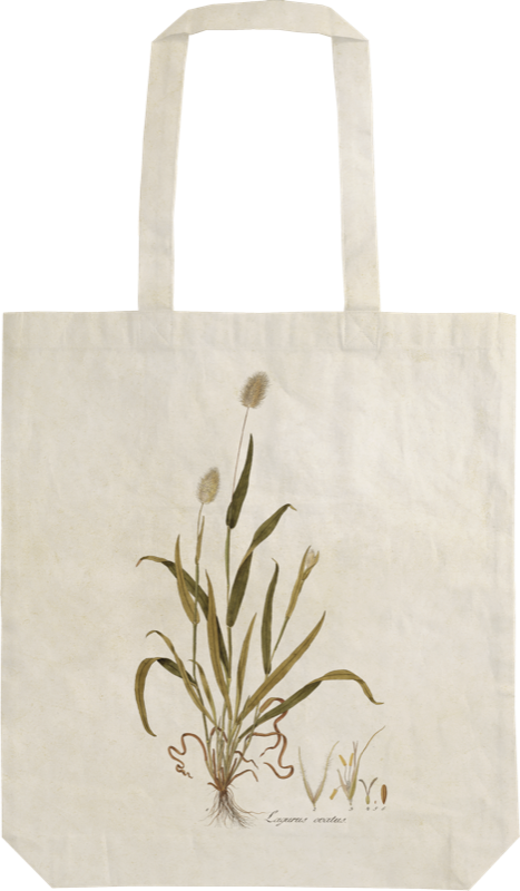 Tote Bag Hare's-tail Grass