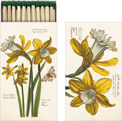 Matchbox - Daffodils