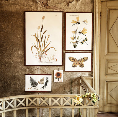 Wooden Frame - Walnut 70x100cm