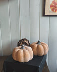 Decoration Pumpkin