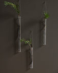 Hanging Glass Tube Vases