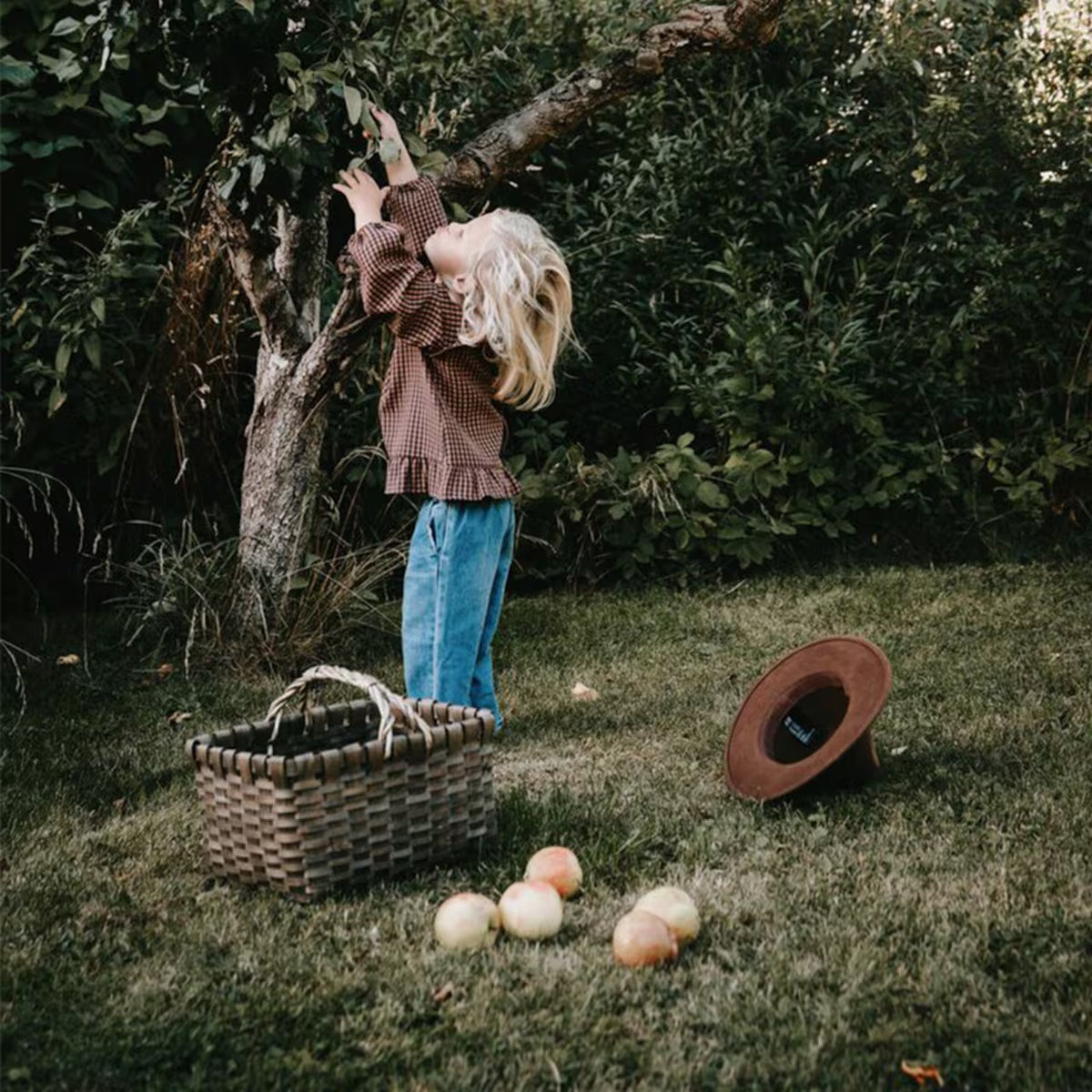 Wood Basket with Handle