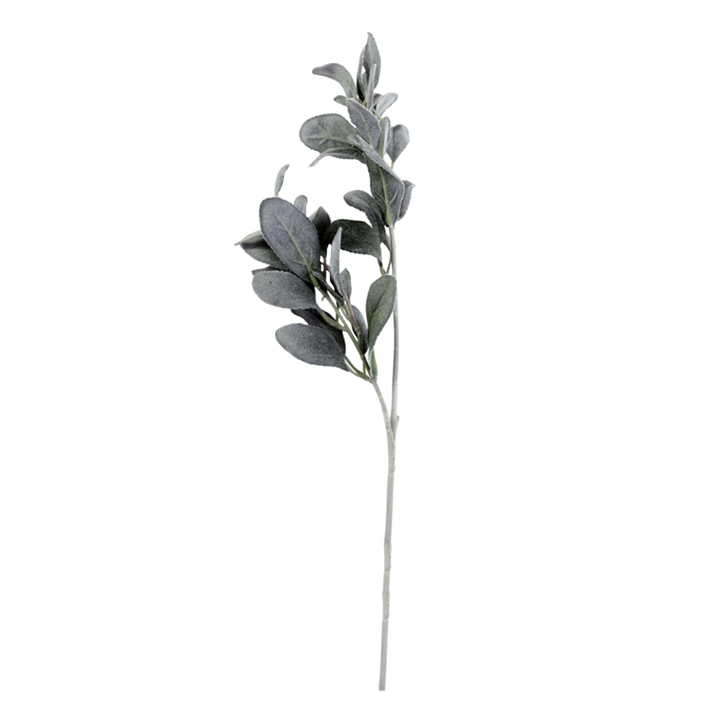Fleur Branch lamb's ear