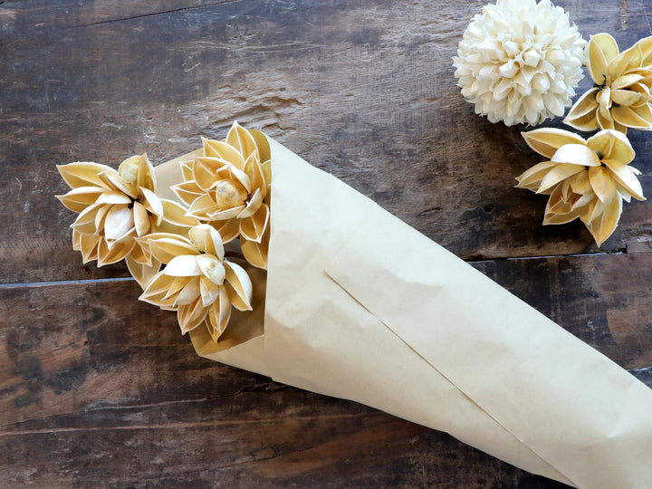 Fleur dried Dahlia Flowers, cream