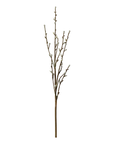 Fleur Willow Branch