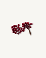Berry Bundle