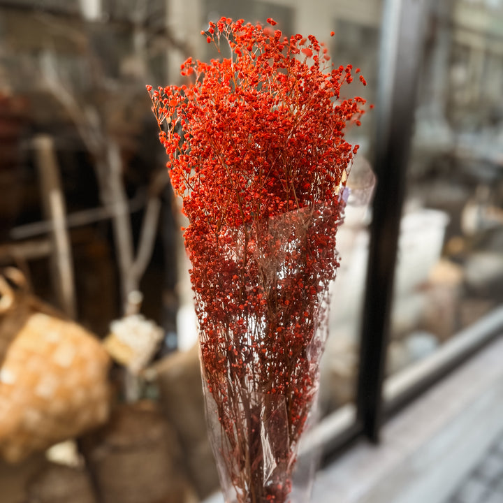 Dried orange gypsophila flower