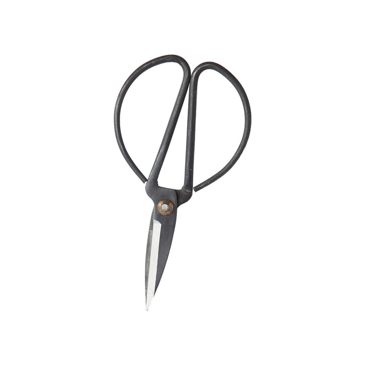 Cast Iron Scissors