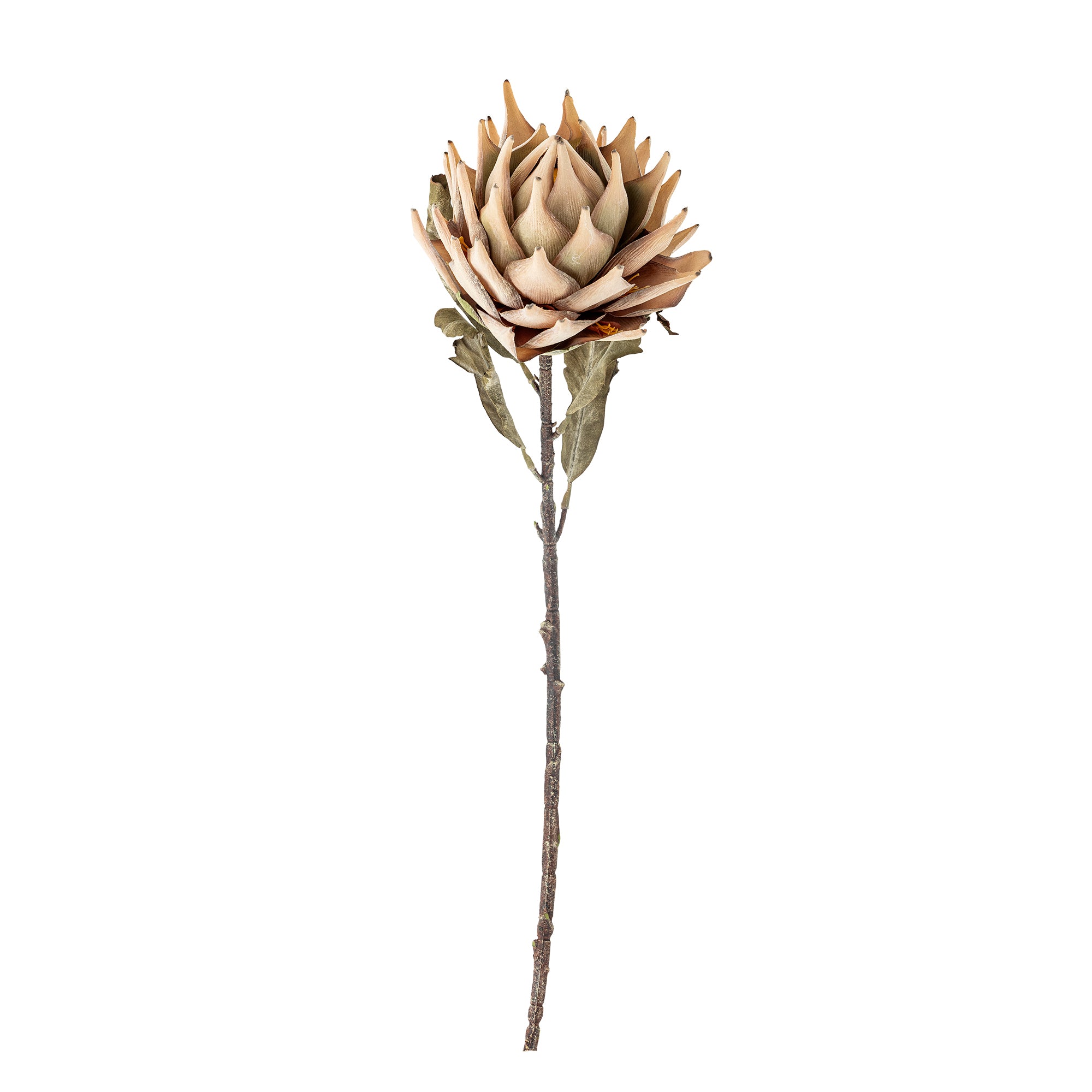 Protea Stem, Nature, Artificial Flower