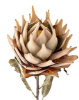 Protea Stem, Nature, Artificial Flower