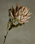Protea Stem, Nature, Artificial Flower