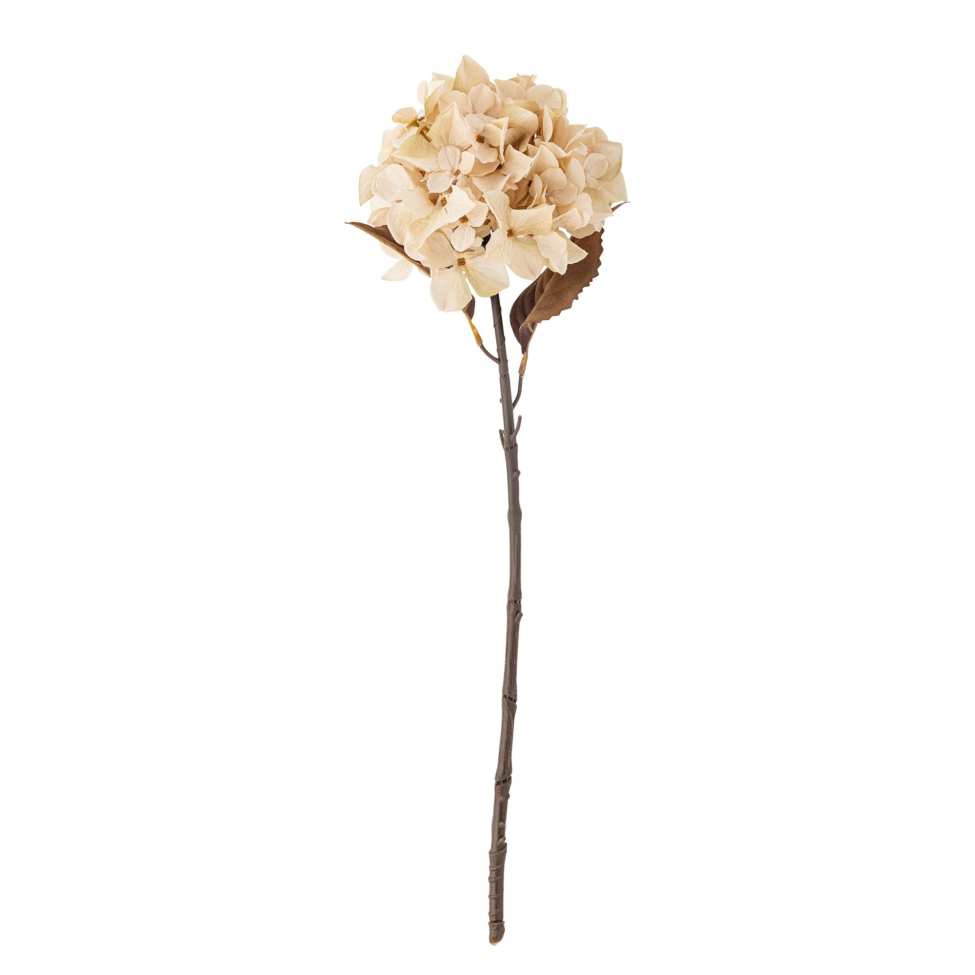 Hydrangea Stem, Nature, Artificial Flower