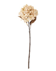 Hydrangea Stem, Nature, Artificial Flower