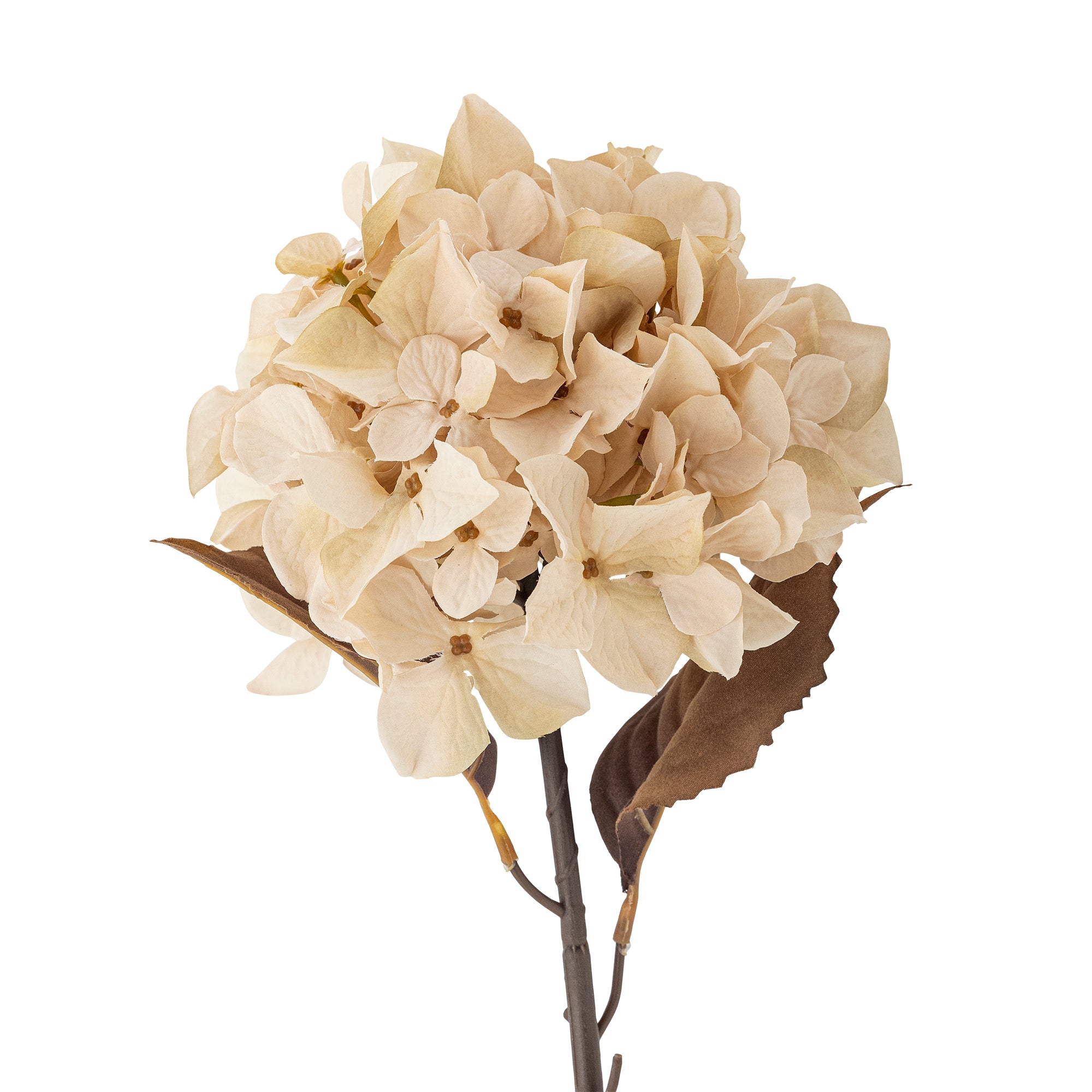 Hydrangea Stem, Nature, Artificial Flower